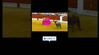 Jos&eacute; Maria manzanares en alicante #viralvideo #10ksubs #toros #animals #lasventas2026 #morante
