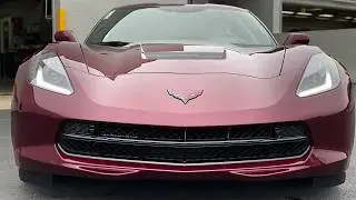 Paint Protection Spray | Shield 360