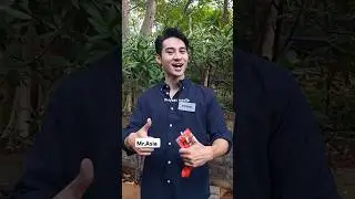 #Mr #asia #vietnam #spotted at #Shilparamam #hyderabad #ytshorts #yt. #priyaasmedia