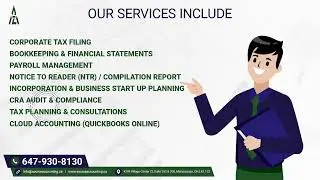 Are You Looking for Help with Accounting Related Issues?