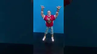 WWE Figure Game #shorts #wwe #wweshorts #wweelitesquad #wwefigures #fyp #wweelites #fyp #fypシ