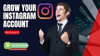 Profilemate review - How to Grow Your Instagram Account with Profilemate?