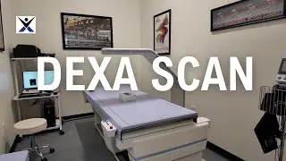 What Is a DEXA Scan? Bone Density & Body Composition Testing at APEX Performance