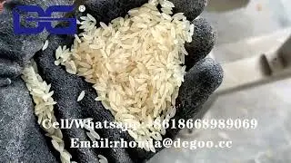 DG75 artificial rice extruder fortified rice plant machinery / machine