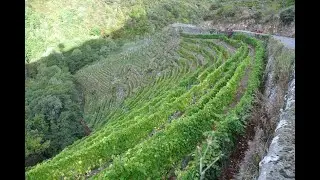 Ribeira Sacra - Ronsel do Sil Virtual Visit
