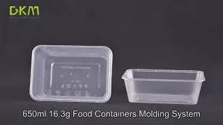DKM 650ml Food Containers Molding System