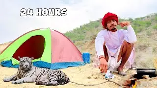 24 Hours Challenge Night Camping With Lion