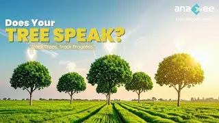 Agroforestry Geo Tagging Explained | Anaxee- Best Carbon Project Developer in India
