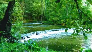 Water Sounds for Focus & Studying 💧 432Hz White Noise | Calm Stream Sounds (10 Hours)