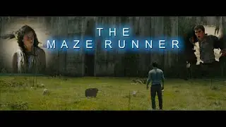 Show And Tell -  The Maze Runner Series