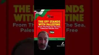 various statements in solidarity with Al Aqsa Flood Palestine from the USA and around the world