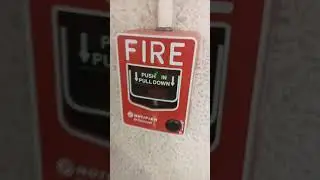 Fire Alarm Shorts: Notifier NBG-12LX polling via FlashScan protocol.