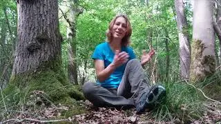 About Forest Bathing Guide Training