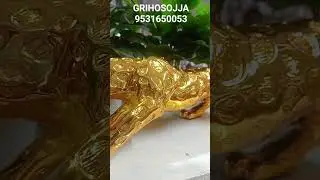 Sher Showpics GRIHOSOJJA 📞9531650053
