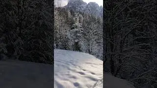 Camminata salutare per un sentiero innevato ❄️ di Sappada! ❄️🏔️