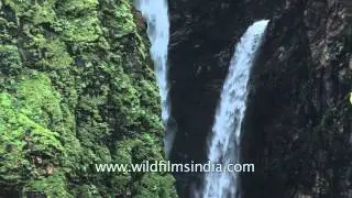 Jog falls: The second-highest plunge water in India