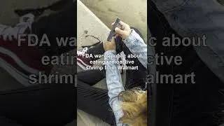 Breaking News: Afghanistan: Dozens of deportees from Iran killed in bu