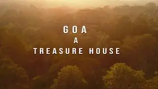 BIRDS OF GOA