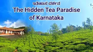 The only Tea Estate in Coffee Country | Kadumane Tea Estate Sakleshpur | Malnad Vibes | ಕಾಡುಮನೆ