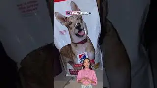 Hill's Science Diet Adult Dog Food Review | Chicken & Barley 35 lb Bag