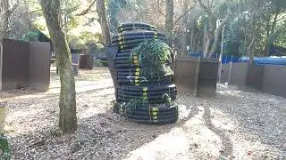 本日五本目