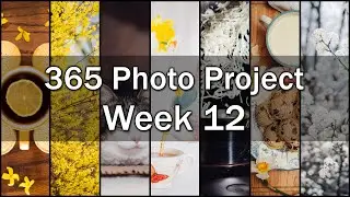 Week 12 - 365 Photo Project - Spring Blooms, Kitchen Upgrades