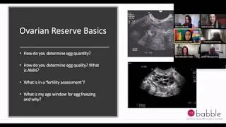 IVF Babble Discussion About Egg Freezing with Fertility Experts