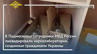Ирина Волк: Сотрудники МВД России ликвидировали нарколаборатории, созданные гражданами Украины