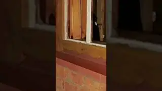 ВОРА-РЕЦИДИВИСТА ЗАДЕРЖАЛИ НА ГОМЕЛЬЩИНЕ  #гомель #беларусь #новости