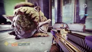 Destiny 2 - Hunting the High Celebrant:
