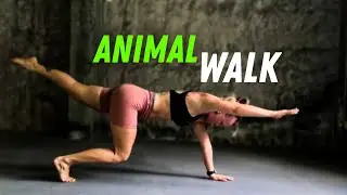 30 Min Special Animal Walk Exercises | Mobility, Flow & Freedom of Movement