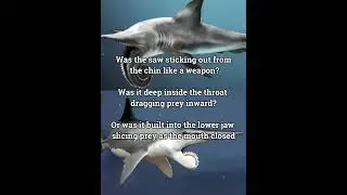 This Is Just Fascinating Prehistoric Creature...