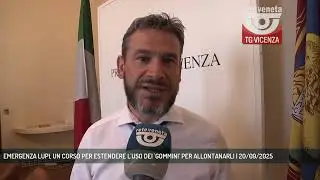 EMERGENZA LUPI, UN CORSO PER ESTENDERE L'USO DEI 'GOMMINI' PER ALLONTANARLI | 20/09/2025