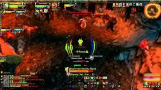 Lithestalker vs  High King Maulgar Hunter Solo