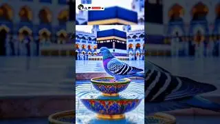 #islamicvideo🕋 #subhanallah #newislamicshort #viralvideo #trendingIslamicvideo trying mashallahnaat