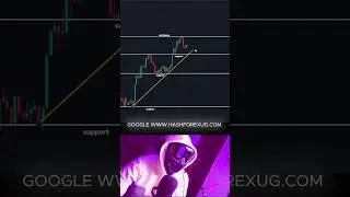 Why you need to forex support and resistance strategy