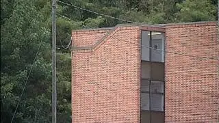 Nelsonville Mold