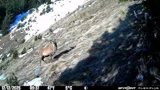 Pi&egrave;ge photo maurienne 
