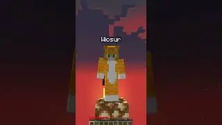 videoplayback