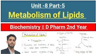 Metabolism of Lipids || Lypolysis || Beta-oxidation || In hindi || Eazy Pharma 