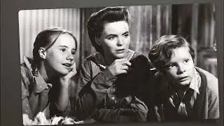 Ted Donaldson, Young Actor in &lsquo;Father Knows Best&rsquo; and &lsquo;A Tree Grows in Brooklyn,&rsquo; Dies at 89