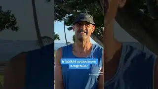 Is Waikiki becoming more dangerous for tourists? #waikiki #hawaii #tourism #tourist