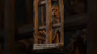 Baldur's Gate 3- Vi presento Brakkal
