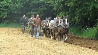 Kre&ntilde;v evel un trakteur !...