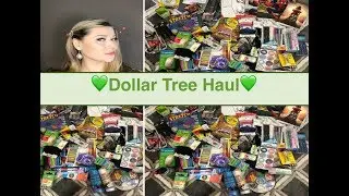 NEW AWESOME DOLLAR TREE HAUL FEBRUARY 2018