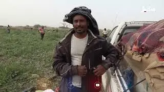 تجربة زراعية تتحدى المواسم
