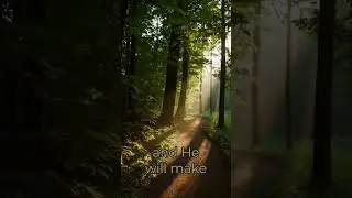 God Will Direct Your Path 🛤️🙏