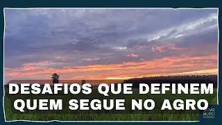 Os Desafios do Agro São Muitos — Mas Só Alguns Definem Quem Vai Crescer