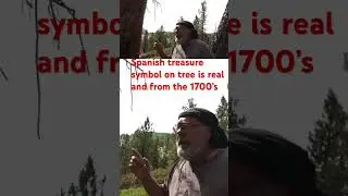 Spanish treasure symbol carved on tree is real and from the 1700&rsquo;s