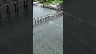 Boardwalk #shortvideo #beach #philippines #dji #davaodeoro